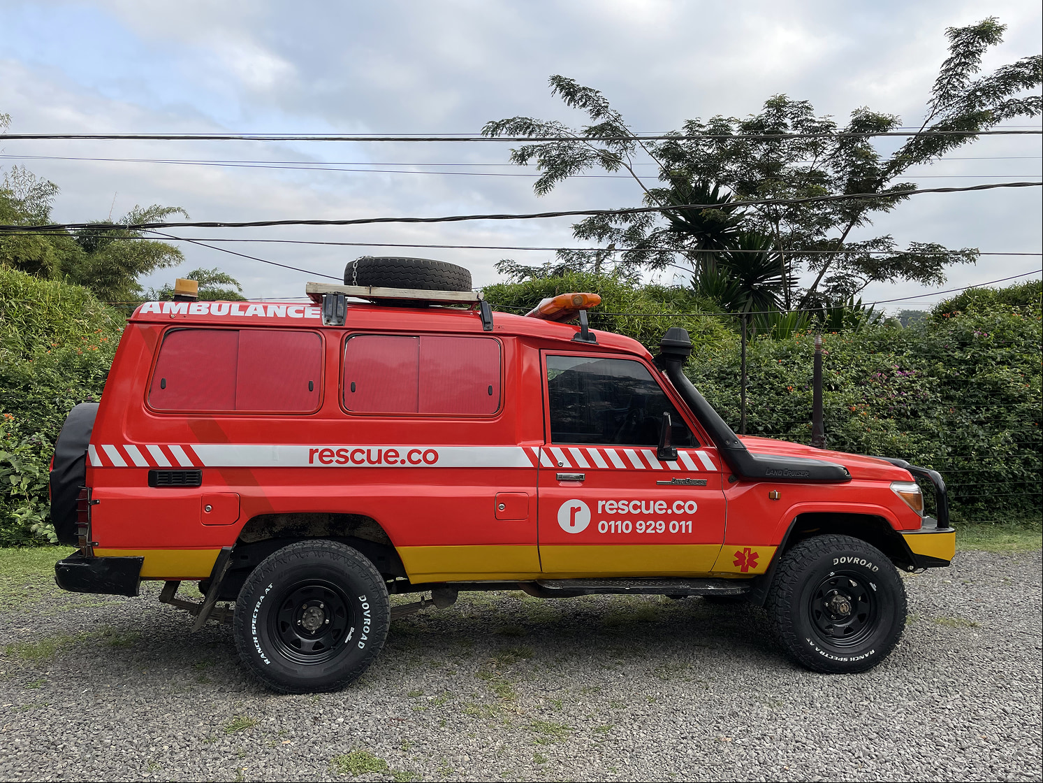 1 ambo